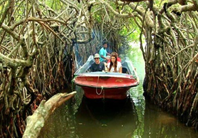 Sri Lanka Awaits - A Perfect Holiday for the Long Weekend