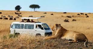 The Untamed Beauty of Kenya - Unleash Your Adventurous Side Today!